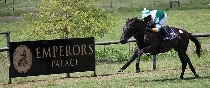 EMPERORS PALACE READY TO RUN GALLOPS @ SUMMERHILL 30TH SEPTEMBER – 09H30