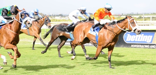 Badger Lake winning the Durbanville Cup Listed at Kenilworth. Image: Gold Circle