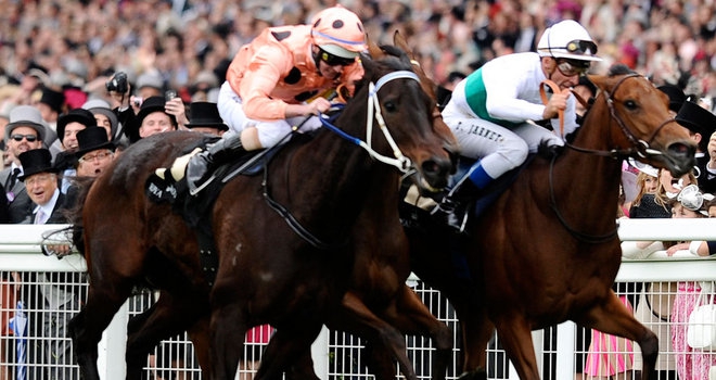 Moonlight Cloud almost brought the curtain down on Black Caviar's unblemished record. Image: Google Images