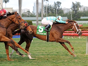 Channel Lady winning the Gr 3 Suwannee River Handicap at Gulfstream Park, her broodmare sire is King Of Kings. Photo: bloodhorse.com