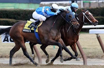 Mr Greeley relatives Cluster Of Stars and Nicole H fight it out to the finish in the Correction Listed at Aqueduct. Image: Google Images