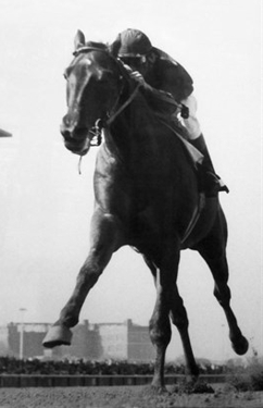 Dr Fager