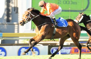 E-Jet winning the Gr 2 Colorade King Stakes. Image: sportingpost.co.za