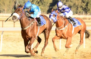 Gr 3 August Stakes Win For Sire Muhtafal</i>