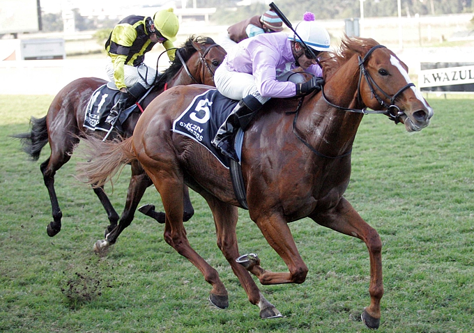 Gitiano by Mullins Bay and bred by Valjub CC, winning the 2nd running of the KZN Breeders Million Mile. Image: Gold Circle