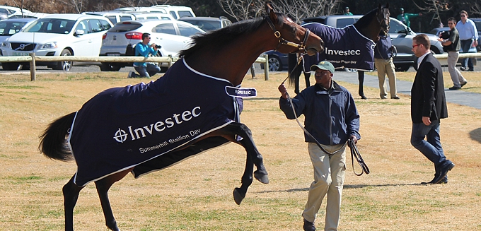 Mullins Bay in his investec day sheet. Image: Candiese Marnewick