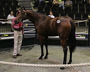 National Yearling Sale - Two Day Results