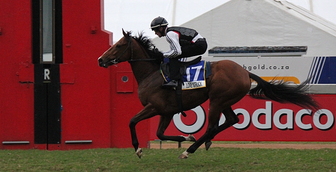 Alesh Naidoo's Love Struck at the VDJ Gallops on 27 June. He will be looking for a double with a win in the KZN Breeders Million Mile and Gr 1 Vodacom Durban July. Image: Candiese Marnewick