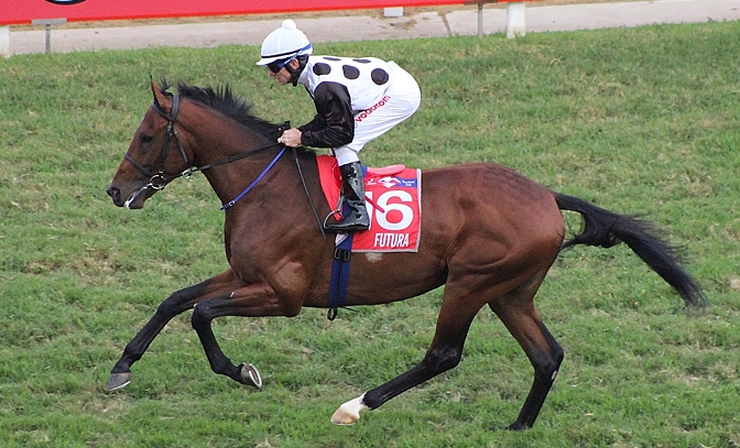 Futura on his way to the start of the Gr1 Vodacom Durban July. Image: Candiese Marnewick