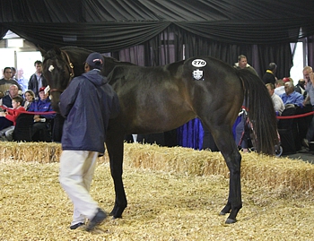 Scott Bros Lot 270 sells for R400 000. Image: Candiese Marnewick