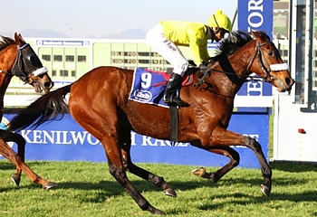 Irish Myth, winning her second Listed race on the trot, the East Cape Paddock Listed Stakes. Image: citizen.co.za