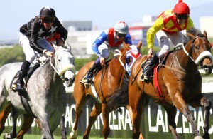 KZN-bred Ice Machine trouncing a powerful field of opposition. Image: sportingpost.co.za
