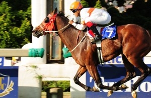 Knock On Wood cruising to Gr 3 victory. Image: JC Photos/sportingpost.co.za