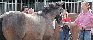Luxardo at the 2011 KZN Yearling Sale, with Keith Russon. Image: Candiese Marnewick