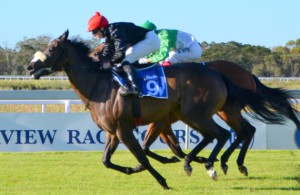 Rosier winning the East Cape Fillies Nursery over 1200m on Friday. Image: sportingpost.co.za