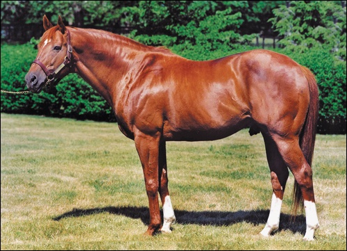 Secretariat - a horse with an enormous heart, in more ways then one.