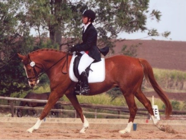 Snoopy by Baroon out of a Keefah mare, ridden by Julie Rawlins, competes in Elementary Medium. Image: Supplied