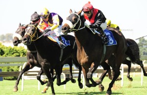 Tuscan Lass by Spectrum, taking home the Oaks Trial Listed. Image: sportingpost.co.za