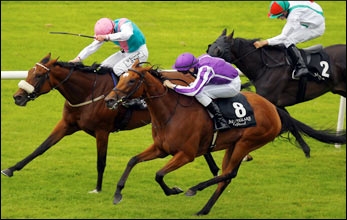 Up, winning the recent Gr 2 Blandford Stakes at the Curragh. Image: racingpost.com