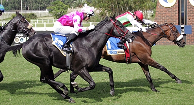 King's Bay winning the Sentinel Stakes, with Acapulco finishing second. Image: Gold Circle