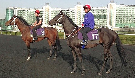 The Apache on the training track at Meydan. Image: mikedekockracing.com/Andrew Watkins