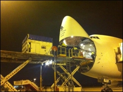 Black Caviar being loaded onto the plane, photo off her official Facebook page.