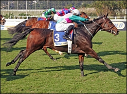 Brataloochee, trained by Des Egdes winning her third race at Clairwood 13 May. Image: Gold Circle