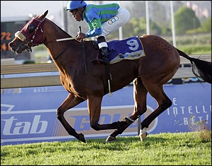 Bwana Macube winning his last start at Scottsville by 3 lengths on 30 September 2012. Image: Gold Circle