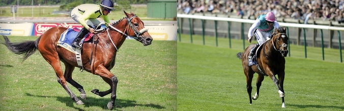 Chocolicious and Frankel respectively. Image: Google Images