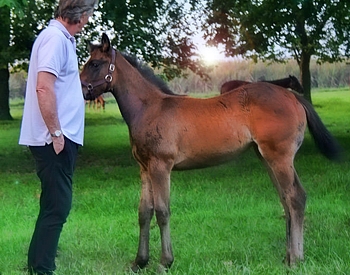Keith Russon with Backworth-bred Crusade foal out of National Seeker. Image: Ian Todd