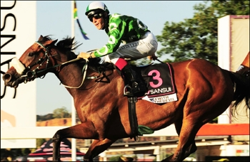 KZN Breeders' Horse Of The Year and five time Grade 1 winner,Dancewiththedevil, heads to the UK. Image: Sporting Post