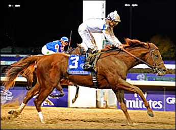 Drosselmeyer wins the Breeder's Cup Classic Grade 1 from Game On Dude by 1.5 lenghts - Photo: Blood-Horse.com