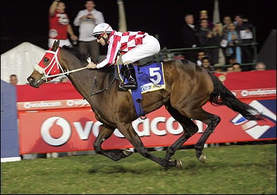 Enchanted Kingdom, bred by Bellwood Stud. Image: Gold Circle