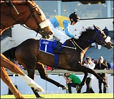 Festival Of Fire, winning another Gr 3. Image: sportingpost.co.za