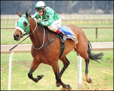 Formation, bred by Graystone Stud taking home the Emerald Fillies Handicap Listed. Image: sportingpost.co.za