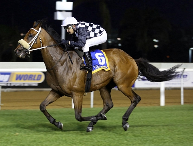 Fourth Estate winning the Gr3 Christmas Handicap, the first to be run at Greyville since it moved from Clairward. Image: Gold Circle