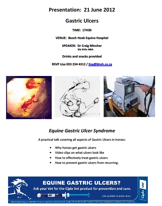 Bosch Hoek Equine Hospital - Gastric Ulcers Presentation
