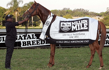 Gitiano by Mullins Bay and bred by Valjub CC, winning the 2nd running of the KZN Breeders Million Mile. Image: Gold Circle