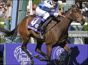 Goldikova jumps from stall one on Saturday afternoon in the TVG Breeder's Cup Mile Gr 1 - Image dailymail.co.uk