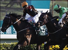 Jeff Lloyd aboard Able One(NZ) winning the Cathay Pacific Hong Kong Mile Group 1