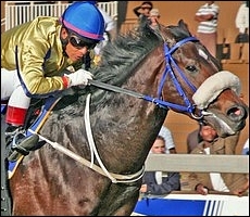 Kildonan winning the Gr 1 Golden Horse Sprint in record time. Image: Gold Circle