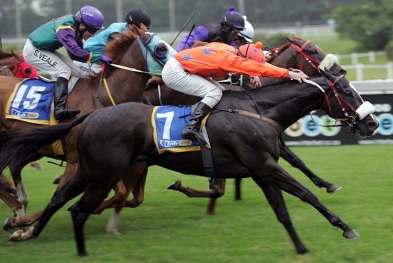 King Of Torts winning the Gr 3 Christmas Handicap at Clairwood over 1600m from three other KZN-breds, King Jace, Fourth Estate and Silver Age. Image: Gold Circle