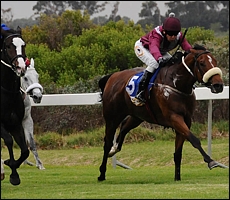 Lord Paramount going onto a powerful win at Kenilworth. Image: Gold Circle