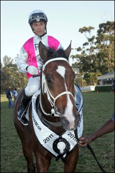 The Mouseketeer, bred by Bush Hill Stud, after winning the KZN Breeders 1600 last year at Clairwood. Image: Gold Circle