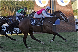 The Mouseketeer winning the KZN Breeders 1600 last year at Clairwood. Image: Gold Circle