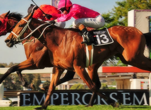 Negev, a Summerhill-bred half-sister to Extra Zero leads the log. Image: Summerhill Stud