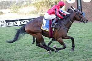 Newton Power winning at Clairwood on the KZN Breeders Race Day 2013, taking home a stake of R200 000. Image: Gold Circle