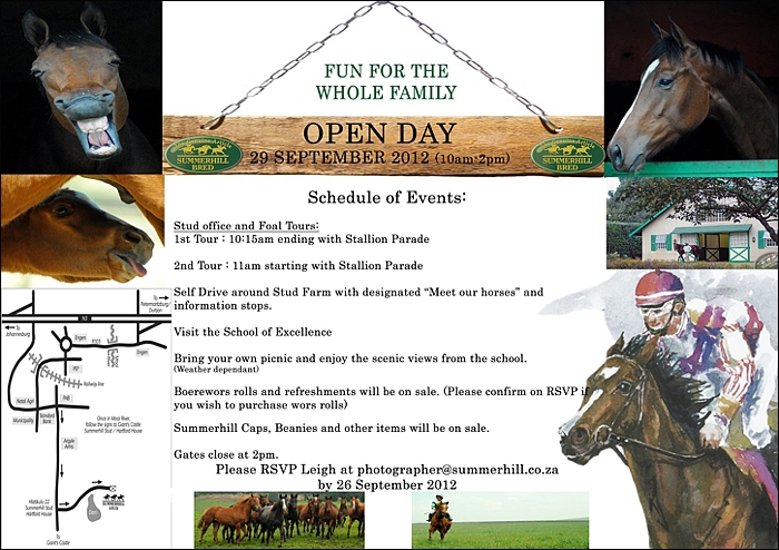 Summerhill Stud Open Day, Champion Breeders for eight consecutive years. Visit www.summerhill.co.za. Image: Summerhill Stud