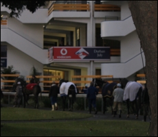 Racehorses being walked after arrival, in the parade ring at Greyville. Image: Candiese Marnewick