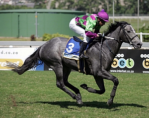 Penhaligon winning in December at Clairwood, bred by Yellow Star Stud. Image: Gold Circle